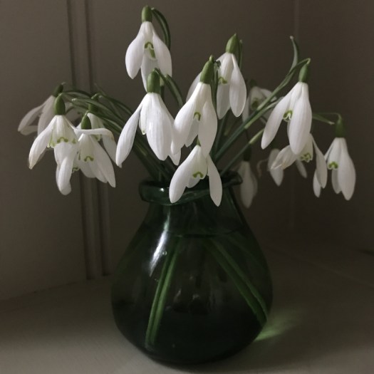 Charlotte-Anne Fidler, Lifestyle, Countryside, English country, Country house, English Houses, English Home, Gardens, Flowers, Cutting, Gardens, Nature, English, gardens, Roses, Rose garden, Sweet peas, Spring bulbs, Spring gardens, Spring planting, Summer planting, Summer gardens, White, Blooms, Home design, Interior design, Interiors, White interiors, House beautiful, Homes and Gardens, Maine Coons, Cats, Motherhood