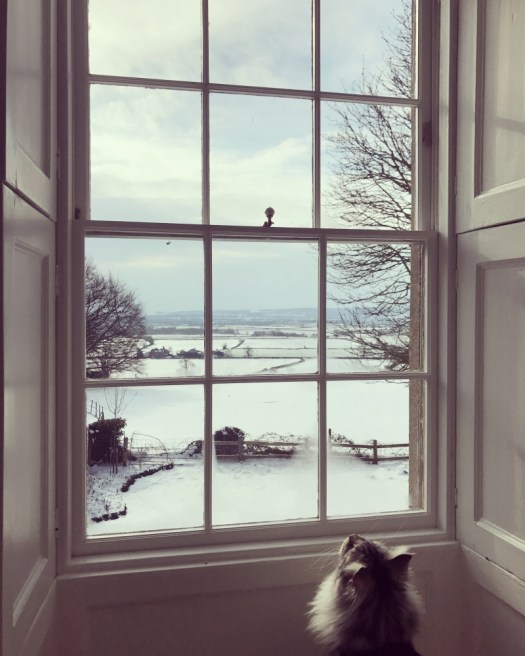 Charlotte-Anne Fidler, Lifestyle, Countryside, English country, Country house, English Houses, English Home, Gardens, Flowers, Cutting, Gardens, Nature, English, gardens, Roses, Rose garden, Sweet peas, Spring bulbs, Spring gardens, Spring planting, Summer planting, Summer gardens, White, Blooms, Home design, Interior design, Interiors, White interiors, House beautiful, Homes and Gardens, Maine Coons, Cats, Motherhood