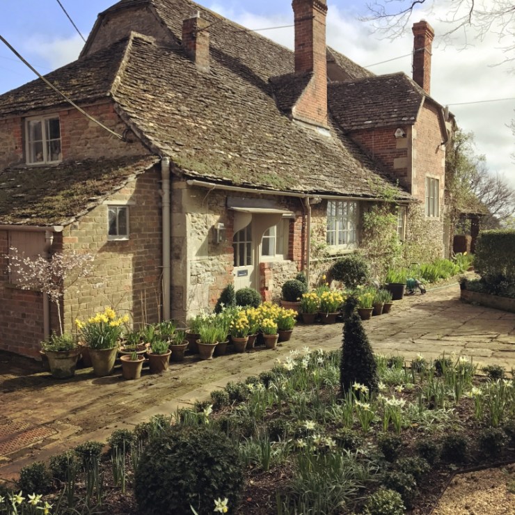 Charlotte-Anne Fidler, Lifestyle, Countryside, English country, Country house, English Houses, English Home, Gardens, Flowers, Cutting, Gardens, Nature, English, gardens, Roses, Rose garden, Sweet peas, Spring bulbs, Spring gardens, Spring planting, Summer planting, Summer gardens, White, Blooms, Home design, Interior design, Interiors, White interiors, House beautiful, Homes and Gardens, Maine Coons, Cats, Motherhood