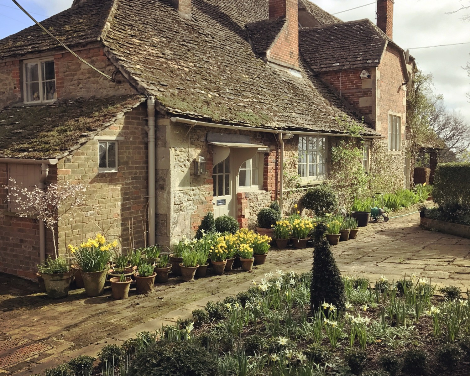Charlotte-Anne Fidler, Lifestyle, Countryside, English country, Country house, English Houses, English Home, Gardens, Flowers, Cutting, Gardens, Nature, English, gardens, Roses, Rose garden, Sweet peas, Spring bulbs, Spring gardens, Spring planting, Summer planting, Summer gardens, White, Blooms, Home design, Interior design, Interiors, White interiors, House beautiful, Homes and Gardens, Maine Coons, Cats, Motherhood
