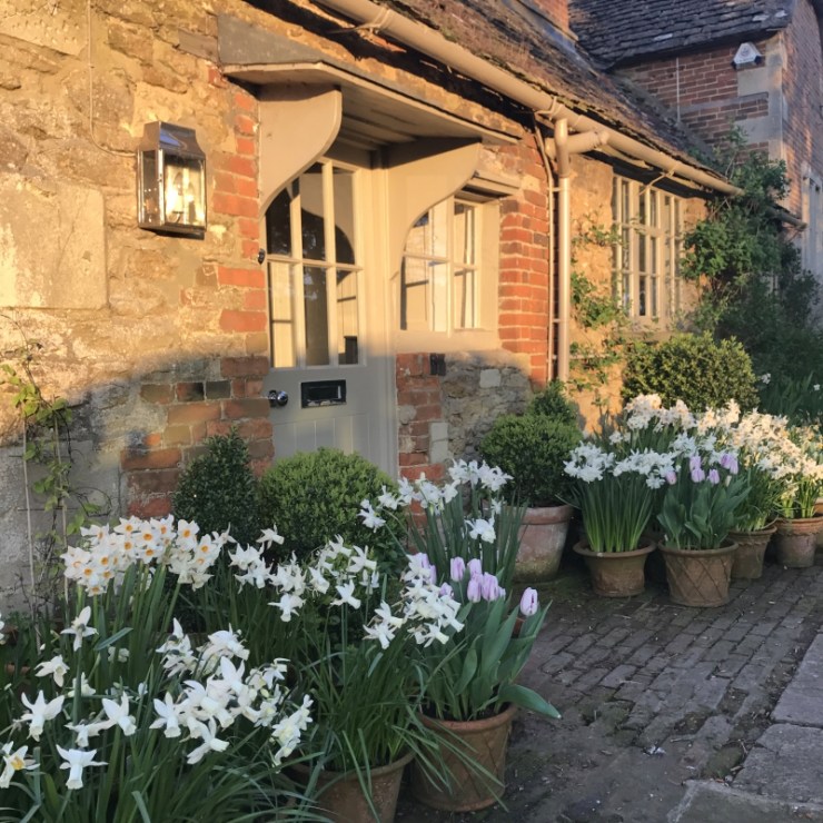 Charlotte-Anne Fidler, Lifestyle, Countryside, English country, Country house, English Houses, English Home, Gardens, Flowers, Cutting, Gardens, Nature, English, gardens, Roses, Rose garden, Sweet peas, Spring bulbs, Spring gardens, Spring planting, Summer planting, Summer gardens, White, Blooms, Home design, Interior design, Interiors, White interiors, House beautiful, Homes and Gardens, Maine Coons, Cats, Motherhood