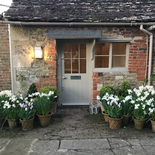 Charlotte-Anne Fidler, Lifestyle, Countryside, English country, Country house, English Houses, English Home, Gardens, Flowers, Cutting, Gardens, Nature, English, gardens, Roses, Rose garden, Sweet peas, Spring bulbs, Spring gardens, Spring planting, Summer planting, Summer gardens, White, Blooms, Home design, Interior design, Interiors, White interiors, House beautiful, Homes and Gardens, Maine Coons, Cats, Motherhood