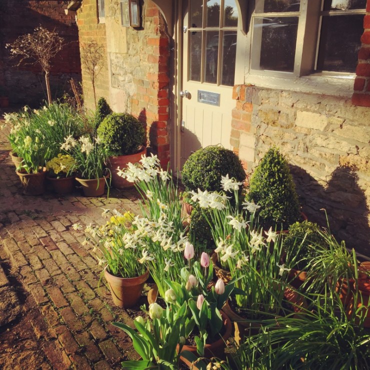 Charlotte-Anne Fidler, Lifestyle, Countryside, English country, Country house, English Houses, English Home, Gardens, Flowers, Cutting, Gardens, Nature, English, gardens, Roses, Rose garden, Sweet peas, Spring bulbs, Spring gardens, Spring planting, Summer planting, Summer gardens, White, Blooms, Home design, Interior design, Interiors, White interiors, House beautiful, Homes and Gardens, Maine Coons, Cats, Motherhood