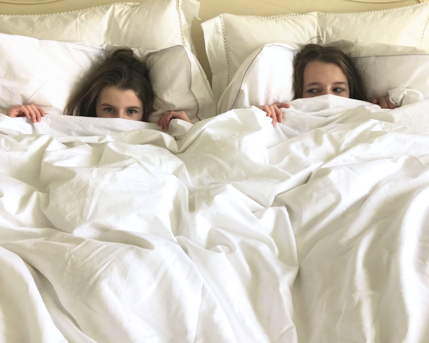 Charlotte-Anne Fidler, Lifestyle, Countryside, English country, Country house, English Houses, English Home, Gardens, Flowers, Cutting, Gardens, Nature, English, gardens, Roses, Rose garden, Sweet peas, Spring bulbs, Spring gardens, Spring planting, Summer planting, Summer gardens, White, Blooms, Home design, Interior design, Interiors, White interiors, House beautiful, Homes and Gardens, Maine Coons, Cats, Motherhood