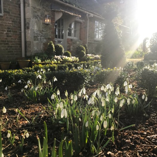 Charlotte-Anne Fidler, Lifestyle, Countryside, English country, Country house, English Houses, English Home, Gardens, Flowers, Cutting, Gardens, Nature, English, gardens, Roses, Rose garden, Sweet peas, Spring bulbs, Spring gardens, Spring planting, Summer planting, Summer gardens, White, Blooms, Home design, Interior design, Interiors, White interiors, House beautiful, Homes and Gardens, Maine Coons, Cats, Motherhood