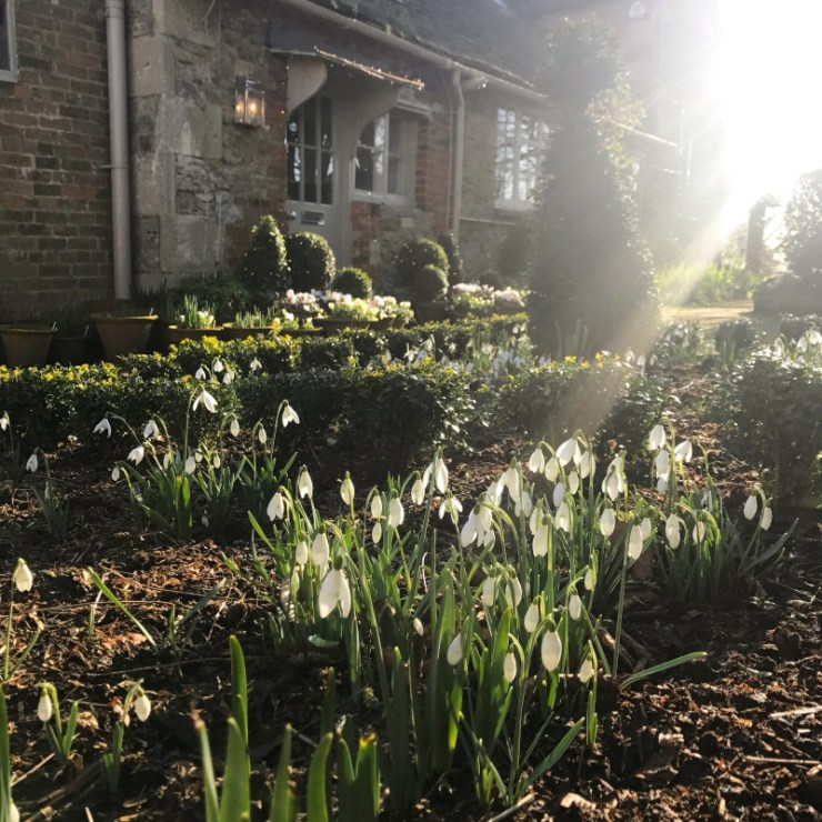 Charlotte-Anne Fidler, Lifestyle, Countryside, English country, Country house, English Houses, English Home, Gardens, Flowers, Cutting, Gardens, Nature, English, gardens, Roses, Rose garden, Sweet peas, Spring bulbs, Spring gardens, Spring planting, Summer planting, Summer gardens, White, Blooms, Home design, Interior design, Interiors, White interiors, House beautiful, Homes and Gardens, Maine Coons, Cats, Motherhood