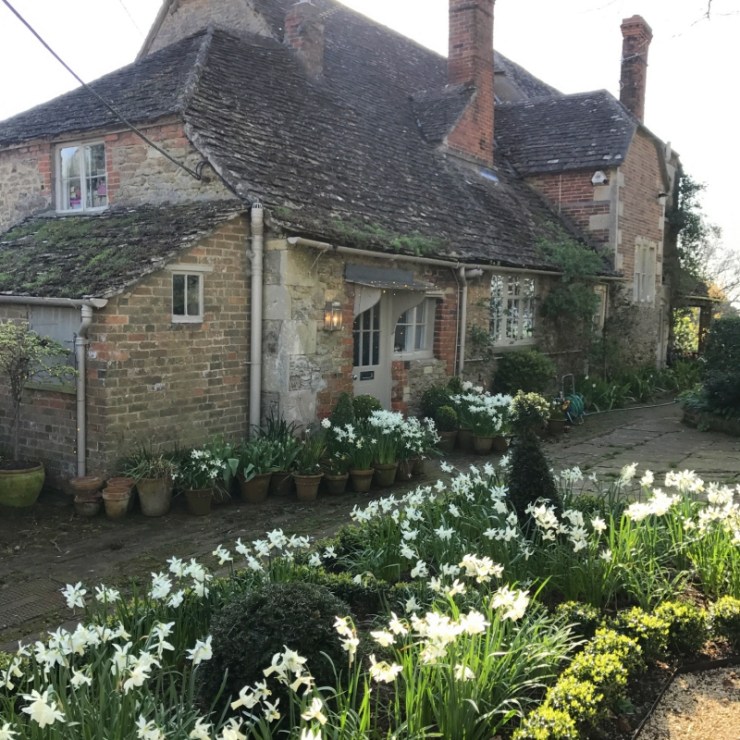 Charlotte-Anne Fidler, Lifestyle, Countrside, English country, Country house, English Houses, English Home, Gardens, Flowers, Cutting, Gardens, Nature, English, gardens, Roses, Rose garden, Sweet peas, Spring bulbs, Spring gardens, Spring planting, Summer planting, Summer gardens, White, Blooms, Home design, Interior design, Interiors, White interiors, House beautiful, Homes and Gardens, Maine Coons, Cats, Motherhood
