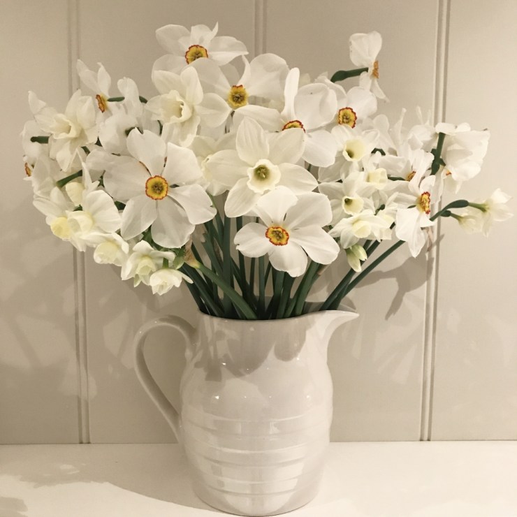 Charlotte-Anne Fidler, Lifestyle, Countrside, English country, Country house, English Houses, English Home, Gardens, Flowers, Cutting, Gardens, Nature, English, gardens, Roses, Rose garden, Sweet peas, Spring bulbs, Spring gardens, Spring planting, Summer planting, Summer gardens, White, Blooms, Home design, Interior design, Interiors, White interiors, House beautiful, Homes and Gardens, Maine Coons, Cats, Motherhood