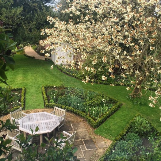 Charlotte-Anne Fidler, Lifestyle, Countrside, English country, Country house, English Houses, English Home, Gardens, Flowers, Cutting, Gardens, Nature, English, gardens, Roses, Rose garden, Sweet peas, Spring bulbs, Spring gardens, Spring planting, Summer planting, Summer gardens, White, Blooms, Home design, Interior design, Interiors, White interiors, House beautiful, Homes and Gardens, Maine Coons, Cats, Motherhood