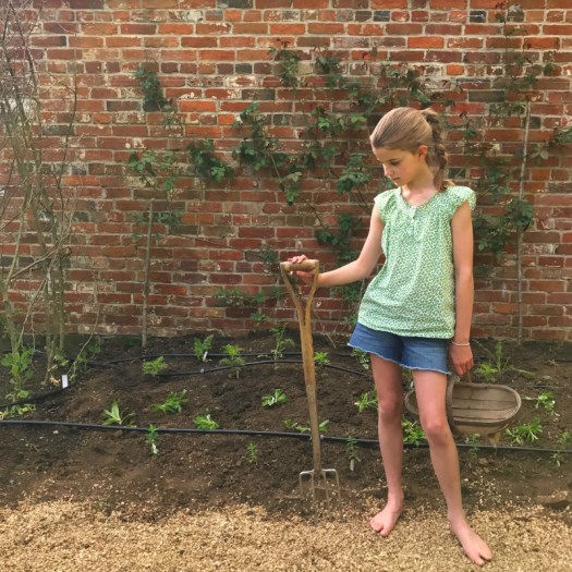 Charlotte-Anne Fidler, Lifestyle, Countryside, English country, Country house, English Houses, English Home, Gardens, Flowers, Cutting, Gardens, Nature, English, gardens, Roses, Rose garden, Sweet peas, Spring bulbs, Spring gardens, Spring planting, Summer planting, Summer gardens, White, Blooms, Home design, Interior design, Interiors, White interiors, House beautiful, Homes and Gardens, Maine Coons, Cats, Motherhood