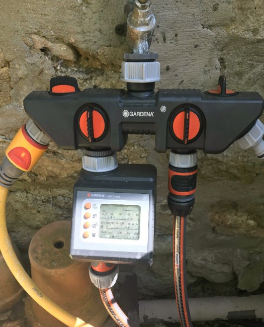 Charlotte-Anne Fidler, Lifestyle, Countryside, English country, Country house, English Houses, English Home, Gardens, Flowers, Cutting, Gardens, Nature, English, gardens, Roses, Rose garden, Sweet peas, Spring bulbs, Spring gardens, Spring planting, Summer planting, Summer gardens, White, Blooms, Home design, Interior design, Interiors, White interiors, House beautiful, Homes and Gardens, Maine Coons, Cats, Motherhood