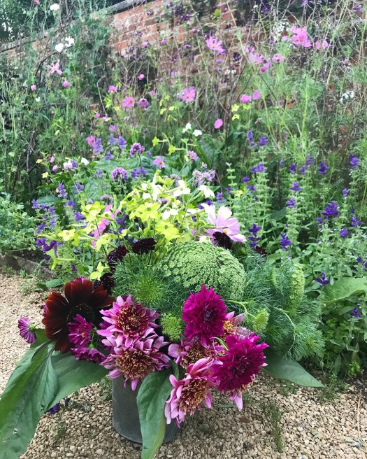 Charlotte-Anne Fidler, Lifestyle, Countryside, English country, Country house, English Houses, English Home, Gardens, Flowers, Cutting, Gardens, Nature, English, gardens, Roses, Rose garden, Sweet peas, Spring bulbs, Spring gardens, Spring planting, Summer planting, Summer gardens, White, Blooms, Home design, Interior design, Interiors, White interiors, House beautiful, Homes and Gardens, Maine Coons, Cats, Motherhood