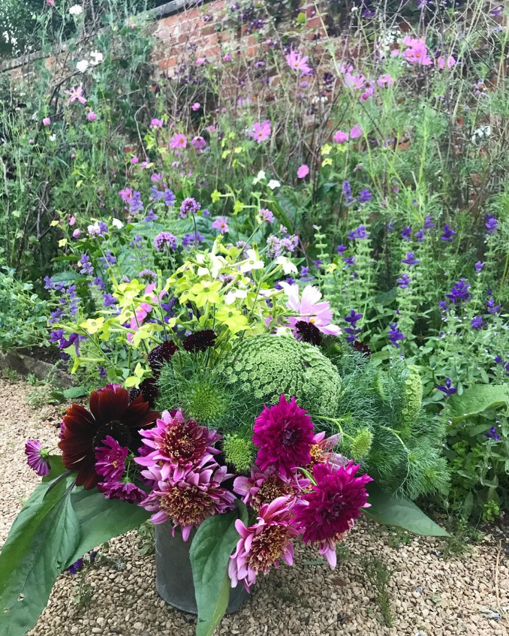 Charlotte-Anne Fidler, Lifestyle, Countryside, English country, Country house, English Houses, English Home, Gardens, Flowers, Cutting, Gardens, Nature, English, gardens, Roses, Rose garden, Sweet peas, Spring bulbs, Spring gardens, Spring planting, Summer planting, Summer gardens, White, Blooms, Home design, Interior design, Interiors, White interiors, House beautiful, Homes and Gardens, Maine Coons, Cats, Motherhood