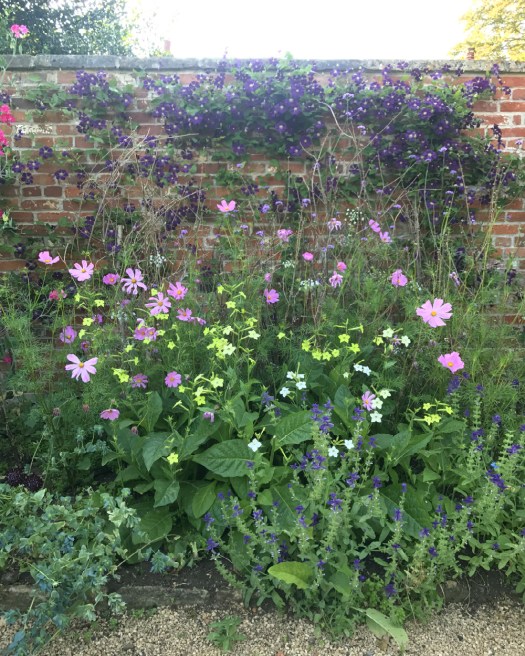 Charlotte-Anne Fidler, Lifestyle, Countryside, English country, Country house, English Houses, English Home, Gardens, Flowers, Cutting, Gardens, Nature, English, gardens, Roses, Rose garden, Sweet peas, Spring bulbs, Spring gardens, Spring planting, Summer planting, Summer gardens, White, Blooms, Home design, Interior design, Interiors, White interiors, House beautiful, Homes and Gardens, Maine Coons, Cats, Motherhood
