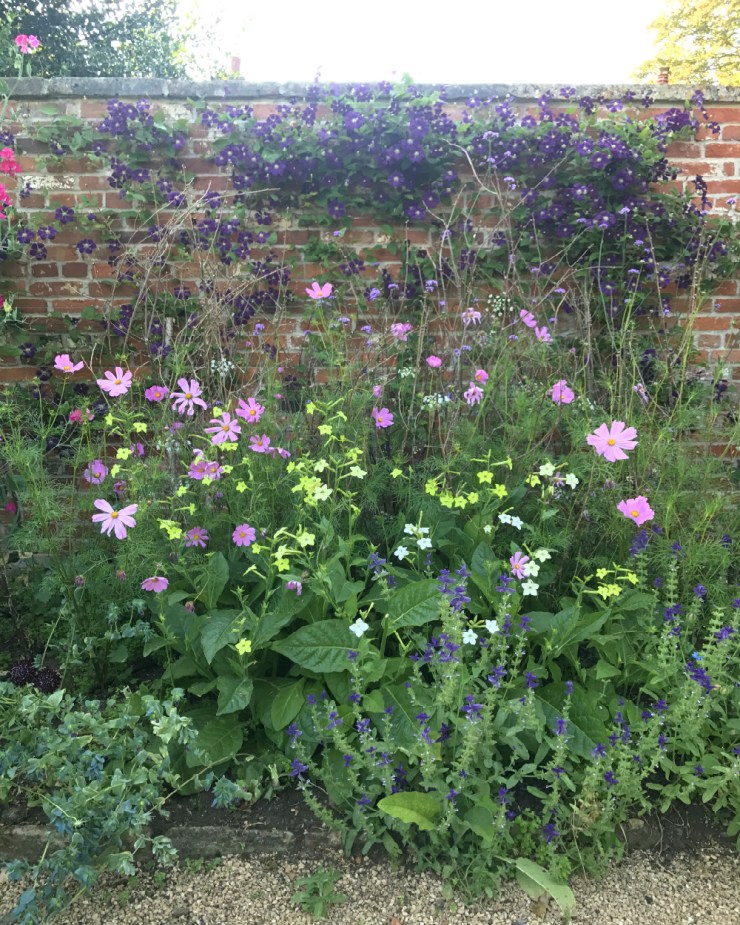 Charlotte-Anne Fidler, Lifestyle, Countryside, English country, Country house, English Houses, English Home, Gardens, Flowers, Cutting, Gardens, Nature, English, gardens, Roses, Rose garden, Sweet peas, Spring bulbs, Spring gardens, Spring planting, Summer planting, Summer gardens, White, Blooms, Home design, Interior design, Interiors, White interiors, House beautiful, Homes and Gardens, Maine Coons, Cats, Motherhood