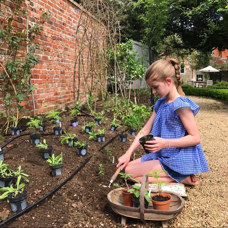 Charlotte-Anne Fidler, Lifestyle, Countryside, English country, Country house, English Houses, English Home, Gardens, Flowers, Cutting, Gardens, Nature, English, gardens, Roses, Rose garden, Sweet peas, Spring bulbs, Spring gardens, Spring planting, Summer planting, Summer gardens, White, Blooms, Home design, Interior design, Interiors, White interiors, House beautiful, Homes and Gardens, Maine Coons, Cats, Motherhood